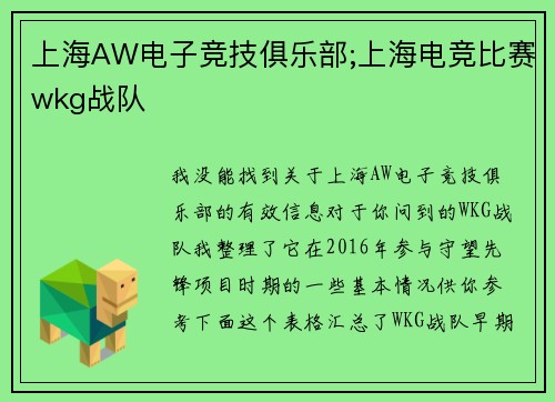 上海AW电子竞技俱乐部;上海电竞比赛wkg战队
